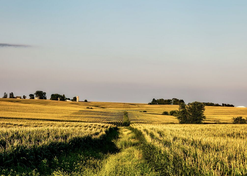 #27. Iowa